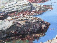 Painting Rocks, Falmouth, Painting Seaweed,Cornwall, Falmouth Cornwall, Nr Pendennis Castle